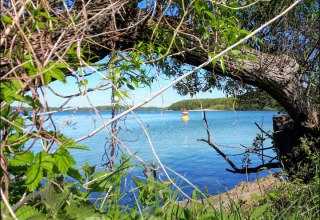 The Schwerin inner lake // &copy; adfc-Schwerin