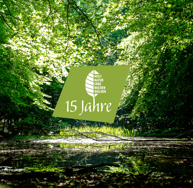 &copy; Nationalpark-Zentrum K&Ouml;NIGSSTUHL