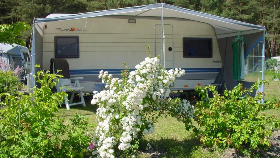 Comfort standplaats met stroom- en wateraansluiting // © Natur Camping Usedom Comfort standplaats met stroom- en wateraansluiting // © Natur Camping Usedom