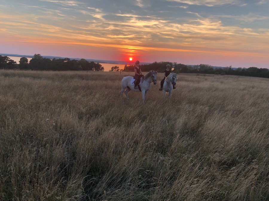 Environment, © Bombis