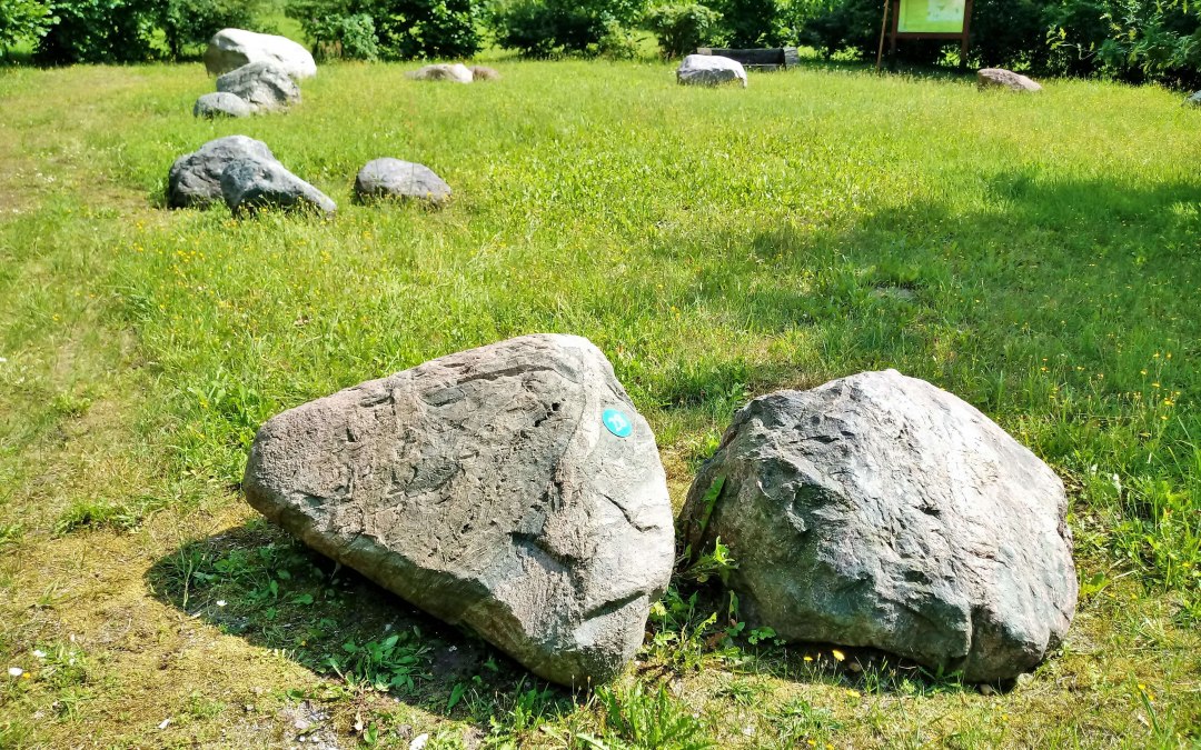 There are 32 boulders (currently) in the garden. There are numbers on the stones and a plaque tells you what kind of stone it is based on the number., © Wolfgang Mamat