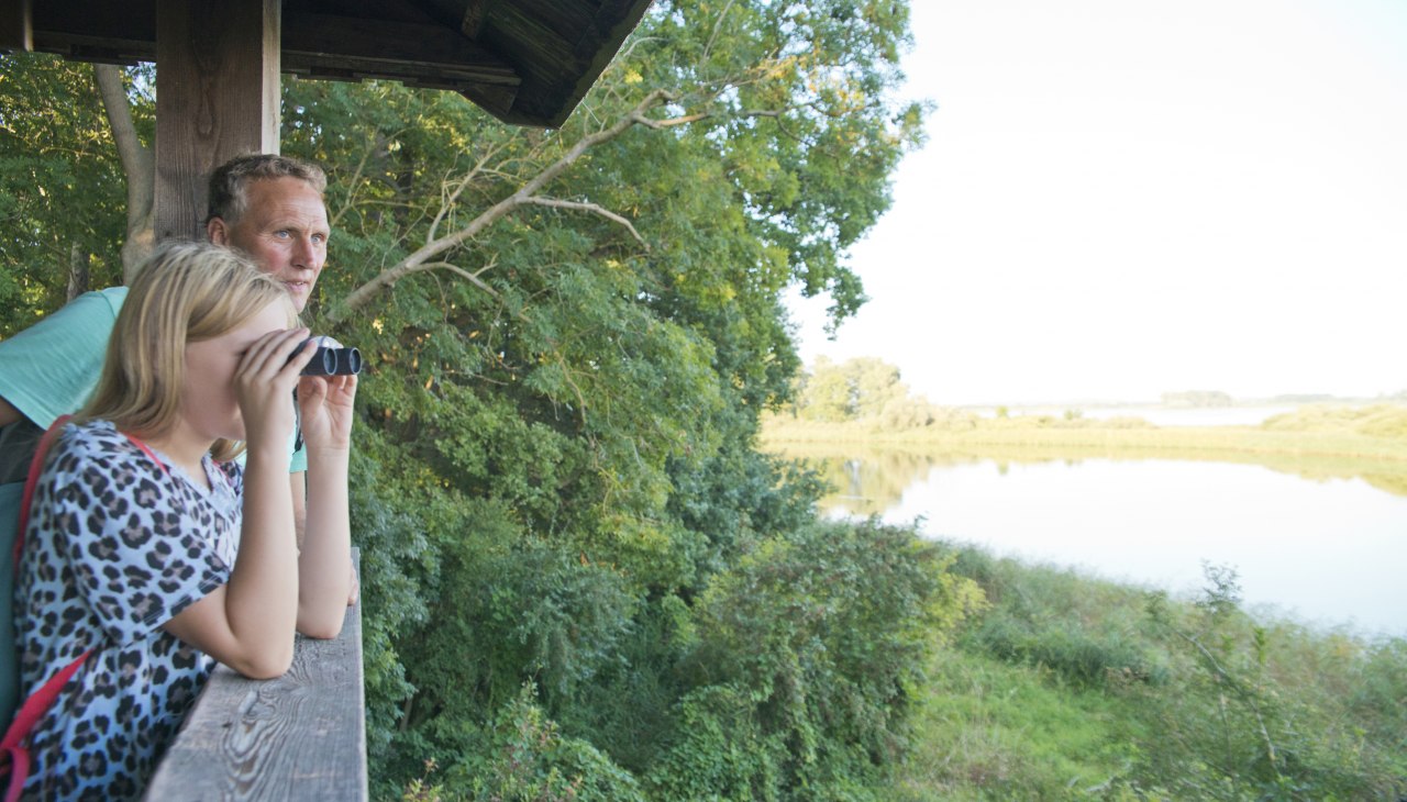 Obserwacja przyrody, © C. Drühl/Tourist-Info Obserwacja przyrody, © C. Drühl/Tourist-Info