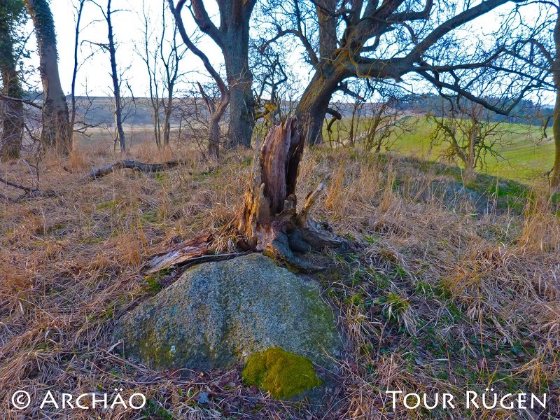 de megalithische graftombe midden op een met bomen begroeide heuvel, © Archäo Tour Rügen