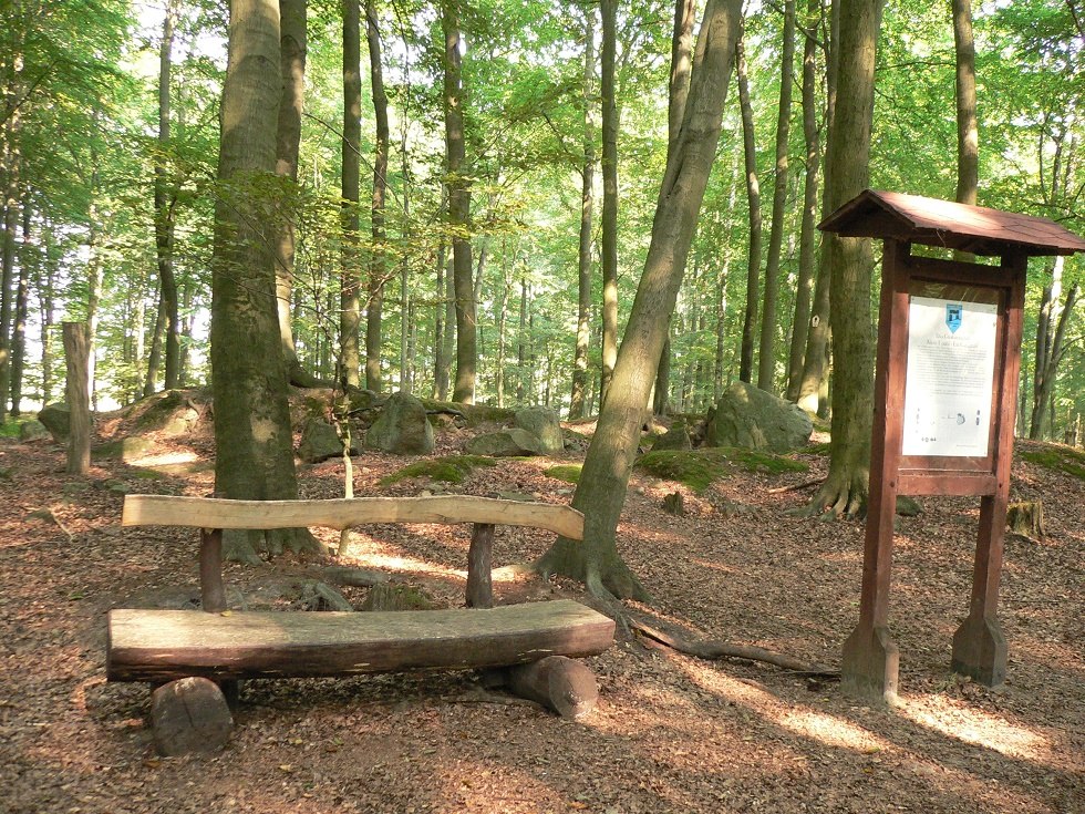 Op het archeologische natuurpad. // &copy; H.Koch / Dorf Museum Lohmen