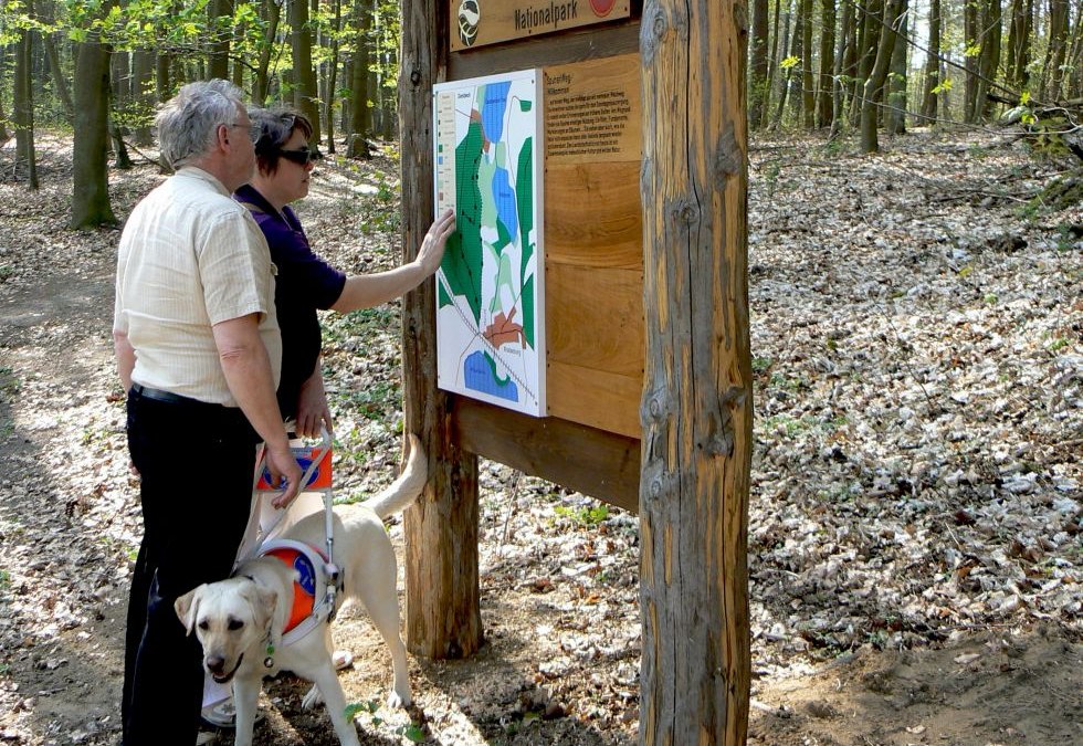 Na odwiedzających czekają szerokie ścieżki i stacje z powierzchniami dotykowymi, © Nationalparkamt Müritz/Kaiser