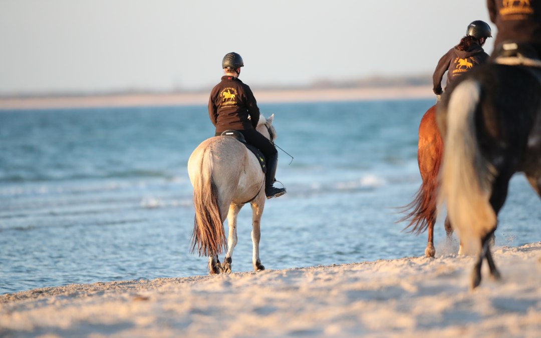 Horse riding on the beach, © TMV/ACP Pantel