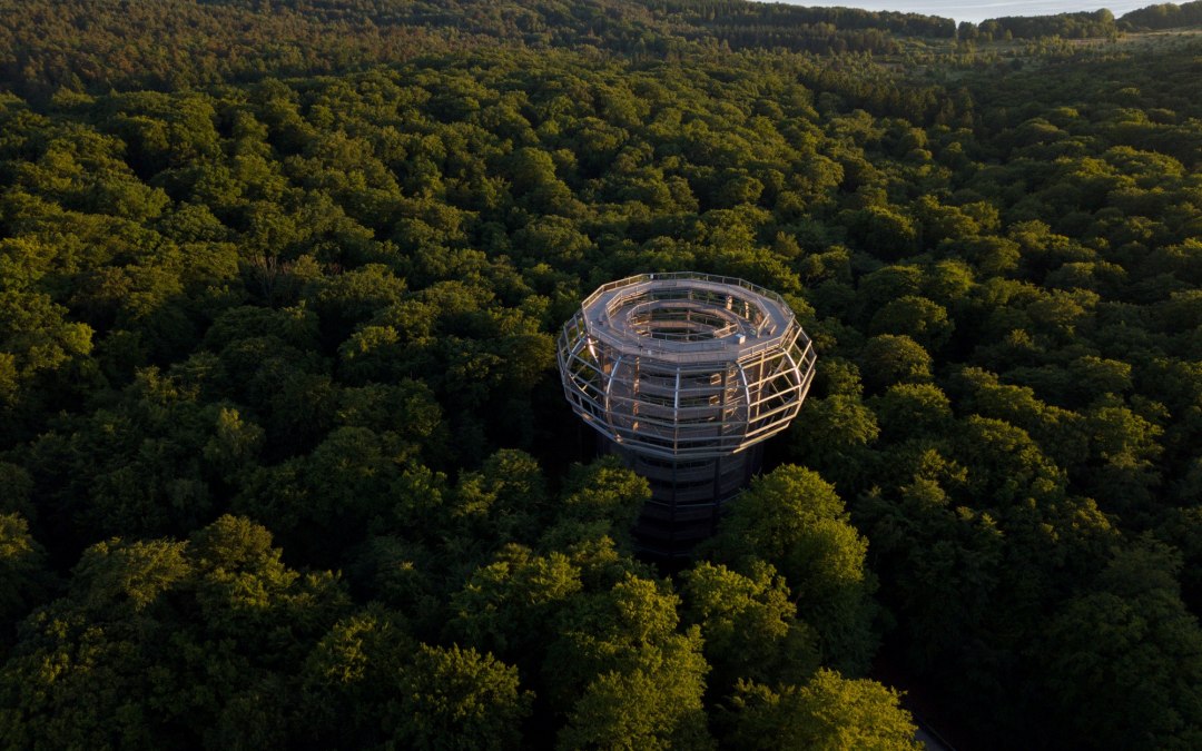 De Prora - Geheimen van het bos, © Binzer Bucht Tourismus
