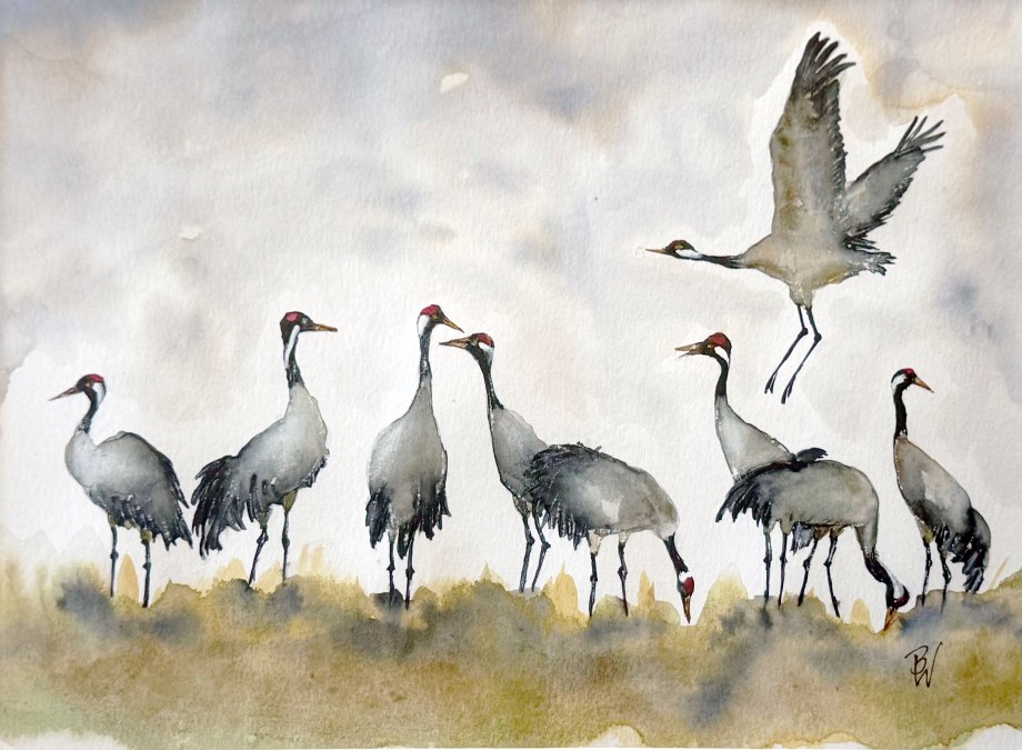 Dance of the cranes | Birgit Will, © Birgit Will