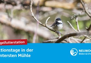 © Neuwoges © Neuwoges