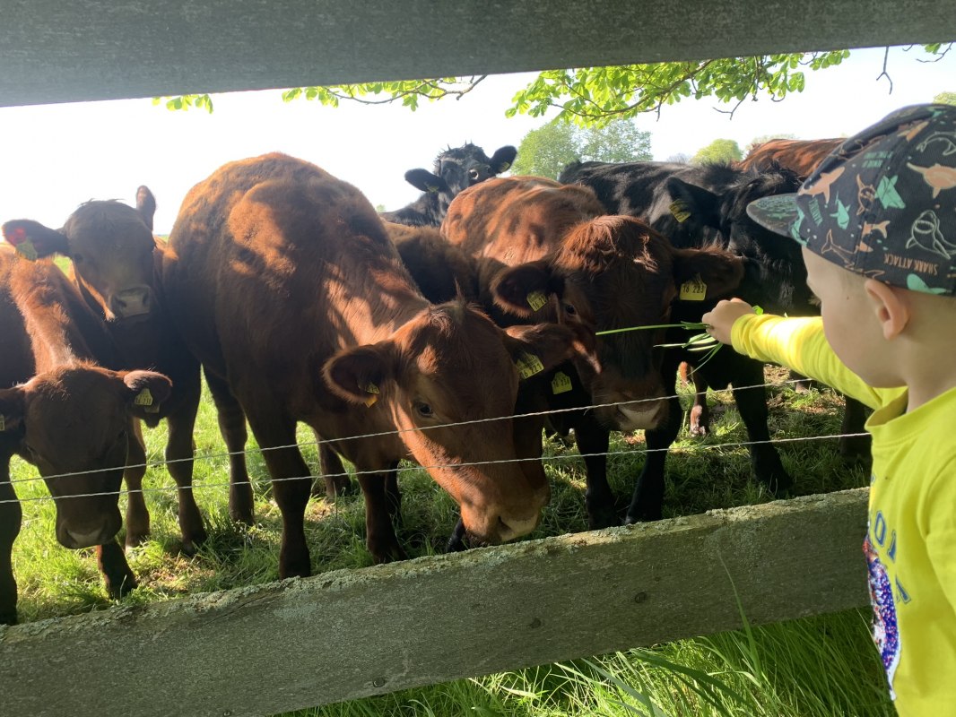 Sklep rolniczy Marihn, &copy; Gut Marihn GmbH & Co. KG