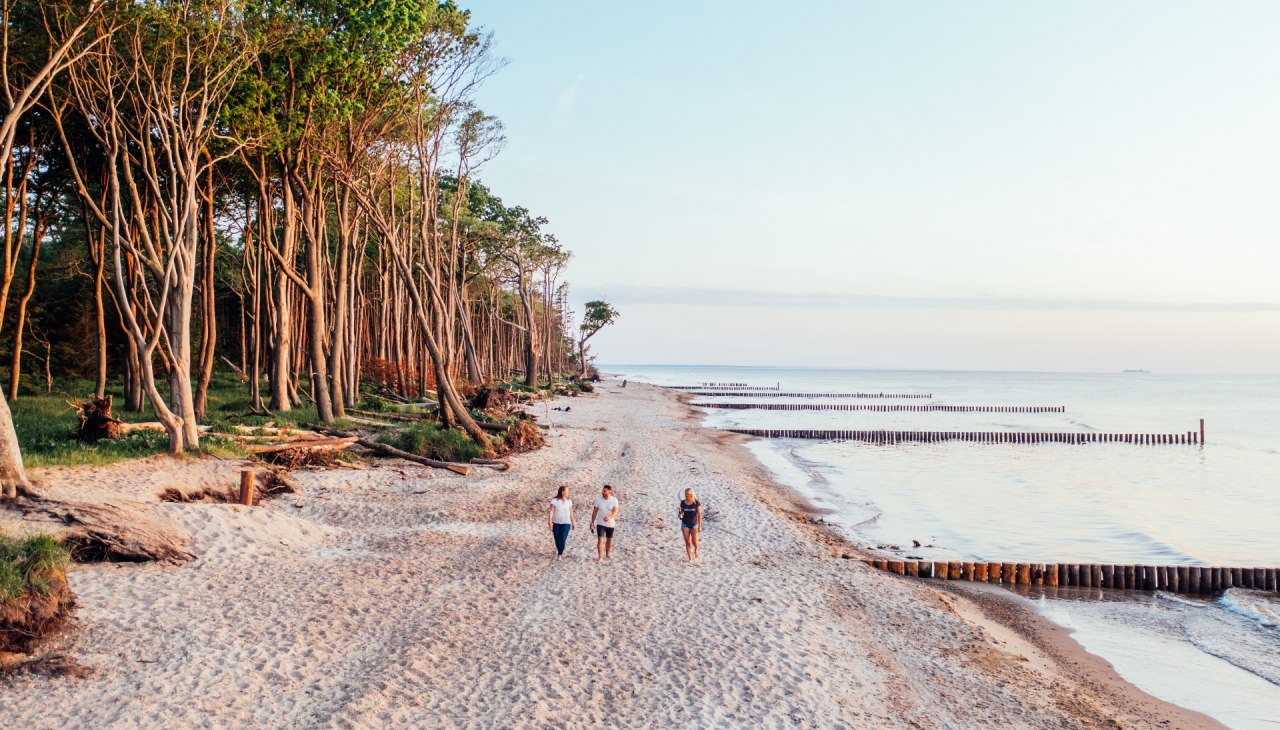 Plażowa idylla we wrzosowisku Rostock, © TMV/Gänsicke