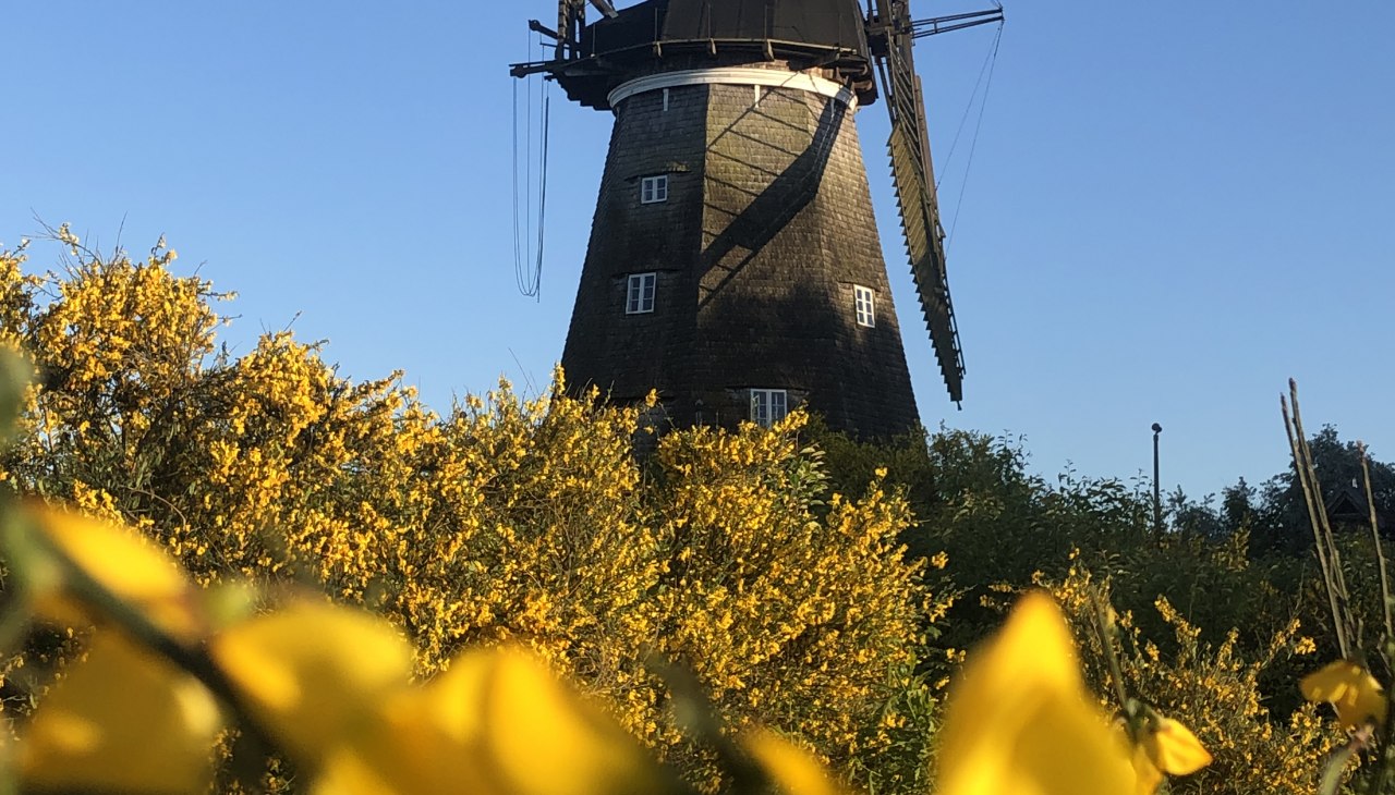 Mühle_Benz_Weg, © Kulturmühle Benz e.V.