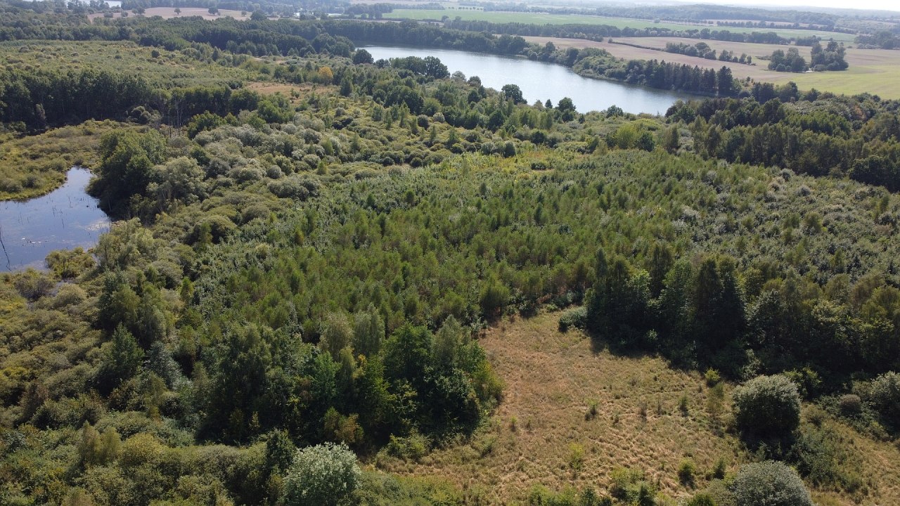 Klimatyczny leśny rezerwat biosfery Schaalsee // © Landesforst MV Klimatyczny leśny rezerwat biosfery Schaalsee // © Landesforst MV