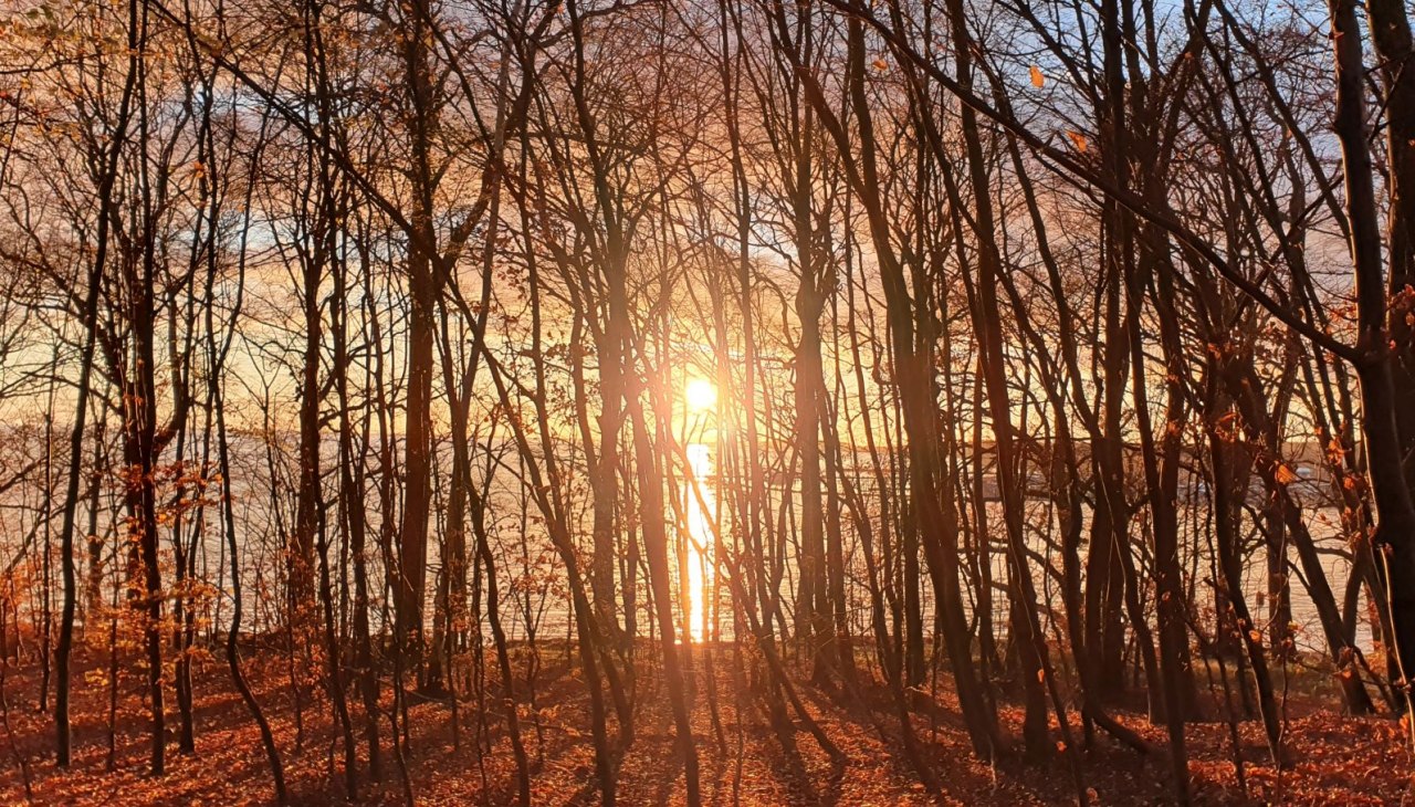 Forest bathing in winter (c) Kurverwaltung Goehren, © Kurverwaltung Goehren