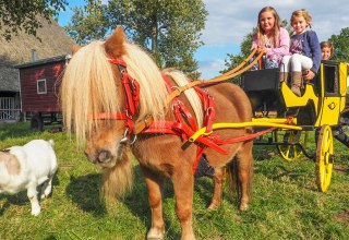 &copy; Freilichtmuseum Klockenhagen