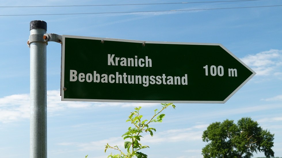 Tankow offers the perfect observation point for cranes, © Ummanz-Information/Bordych Tankow offers the perfect observation point for cranes, © Ummanz-Information/Bordych