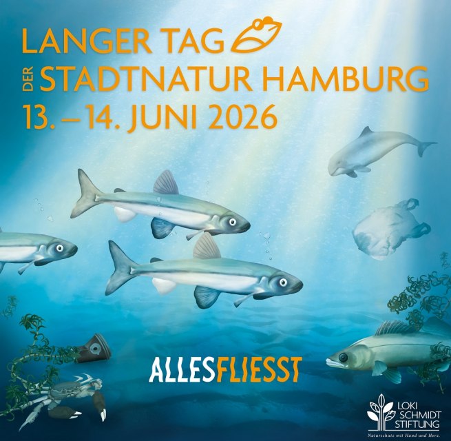 Plakat zum Langen Tag der StadtNatur // © Loki Schmidt Stiftung Plakat zum Langen Tag der StadtNatur // © Loki Schmidt Stiftung