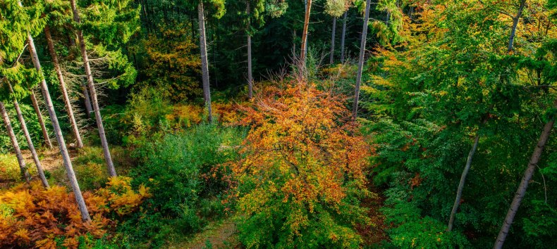 © Binzer Bucht Tourismus