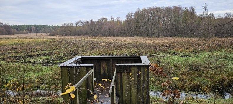 &copy; NPA M&uuml;ritz