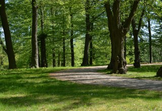 © Tourismusverband Mecklenburg-Schwerin