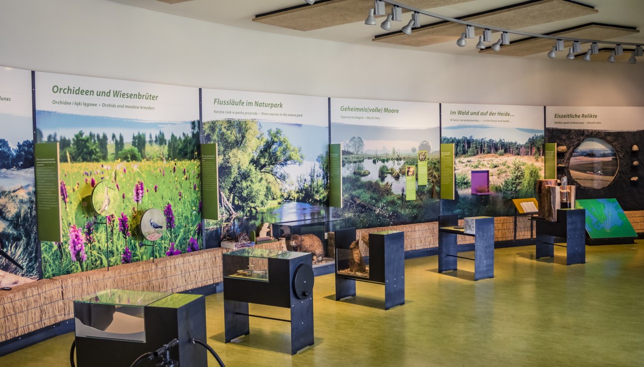 Natuurpark Am Stettiner Haff - Tentoonstellingszalen, © tvv/Philipp Schulz Natuurpark Am Stettiner Haff - Tentoonstellingszalen, © tvv/Philipp Schulz