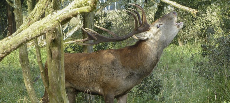 © Volker Spicher © Volker Spicher