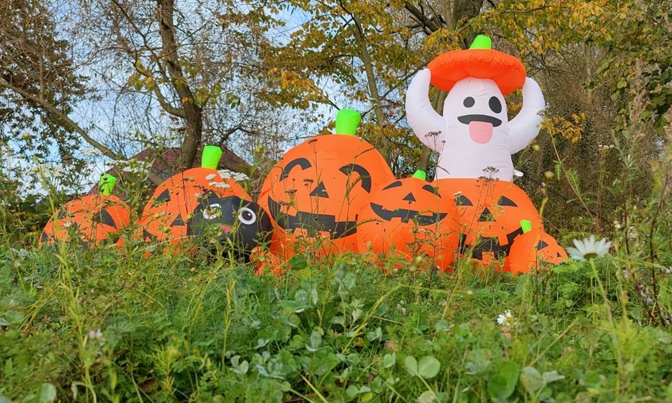 Pumpkin parade, © Christian Beckert
