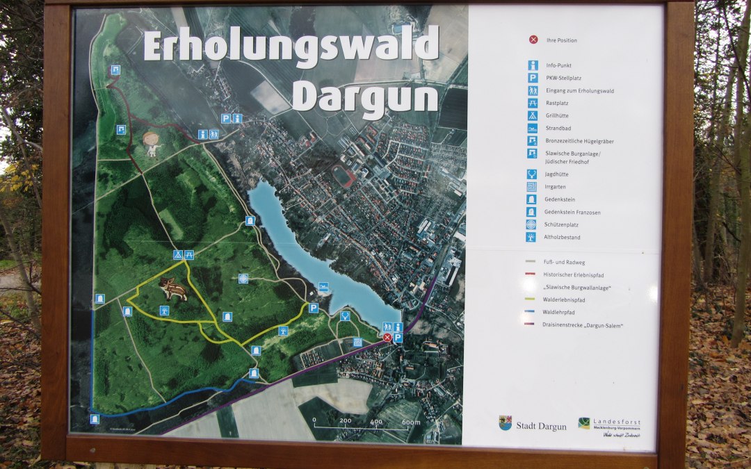 Dargun recreational forest