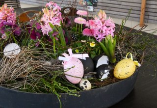 &copy; B&Auml;RENWALD M&uuml;ritz | Manuela Klier