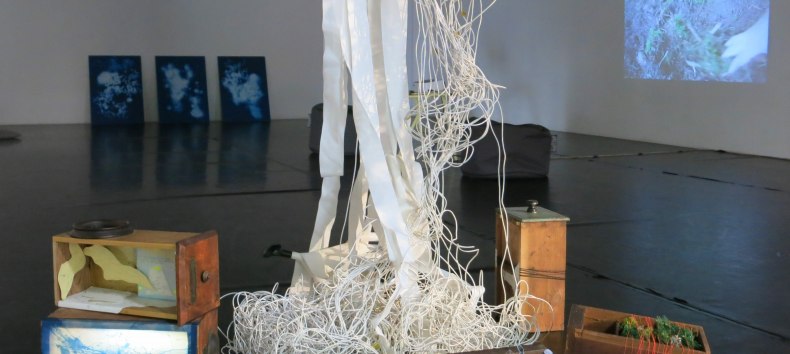 Installationsansicht Wachsen , Wuchern, Wühlen, Wundern 2025 Mixed Media // © Friederike Preuschen Installationsansicht Wachsen , Wuchern, Wühlen, Wundern 2025 Mixed Media // © Friederike Preuschen