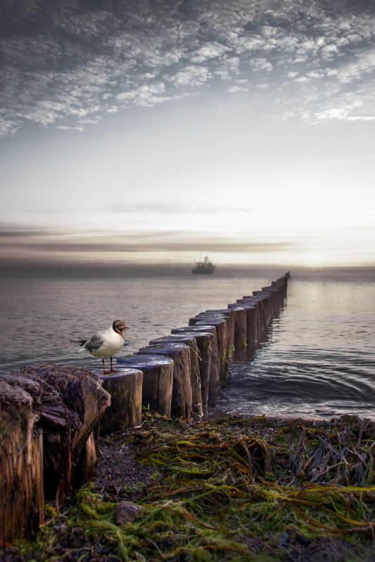 &copy; Margrit Hintsche