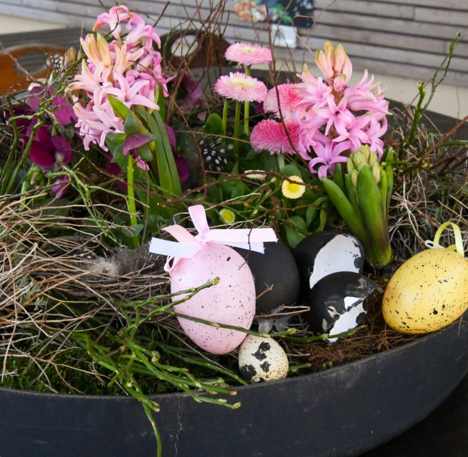 &copy; B&Auml;RENWALD M&uuml;ritz | Manuela Klier