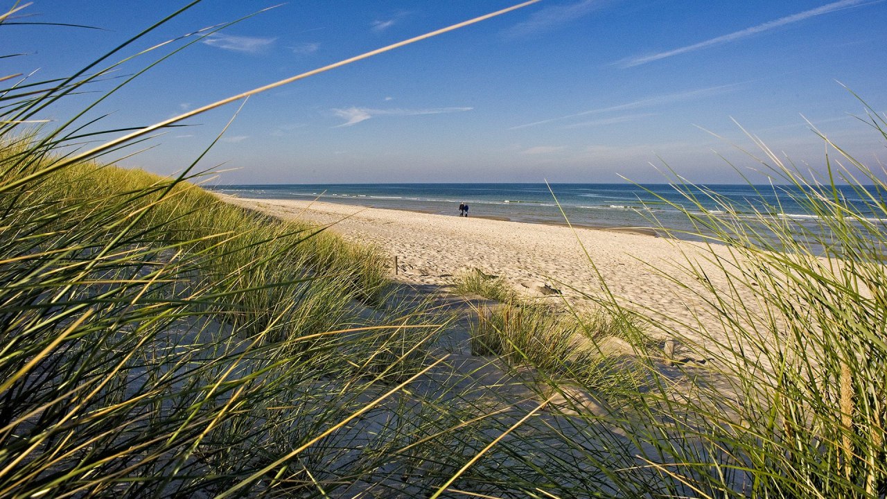 View of Prerow beach, © ginkgomare View of Prerow beach, © ginkgomare