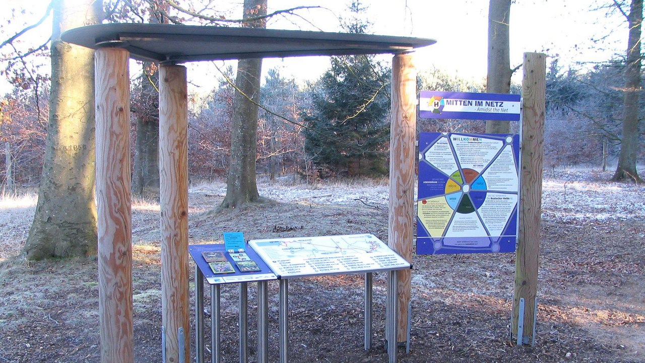 Discover, explore and play in Rostock Heath // &copy; Stadtforstamt Rostock/P. Kuhr