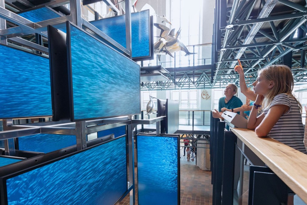 © Anke Neumeister/Deutsches Meeresmuseum