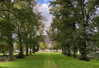 Historische laan Landgoed Dahlen // &copy; Felix Garten Giuliana Martinez