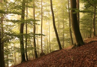 © Kurverwaltung Feldberg © Kurverwaltung Feldberg