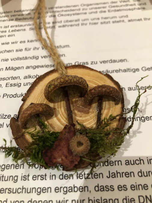 IMG-20251212-WA0026, &copy; Heike Brechler