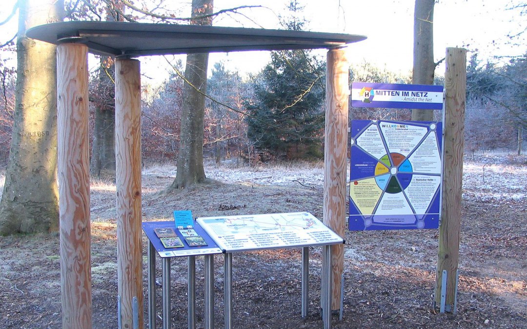 Ontdek, verken en speel op de Rostocker Heide, © Stadtforstamt Rostock/P. Kuhr
