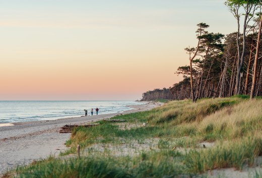 Idylliczny spacer po zachodniej plaży Dar&szlig;: trzy osoby podziwiają zach&oacute;d słońca, podczas gdy wybrzeże mieni się ciepłymi kolorami, a przyroda odpoczywa.