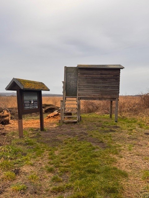 © Staatliches Amt für Landwirtschaft und Umwelt Vorpommern © Staatliches Amt für Landwirtschaft und Umwelt Vorpommern