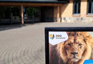 &copy; Zoo Schwerin