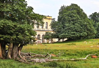 © TMV/Gohlke © TMV/Gohlke