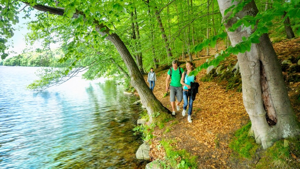Ścieżki wzdłuż brzegu wąskiego jeziora Luzin na pojezierzu Feldberg, © TMV/foto@andreas-duerst.de