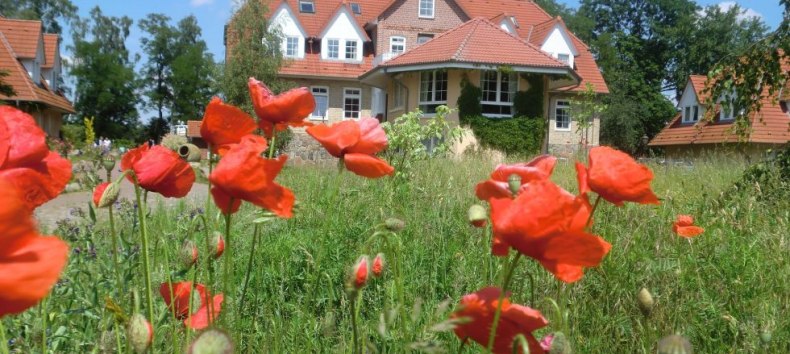 &copy; Maxi Wei&szlig;