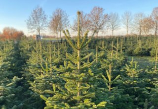 © Nadine Malß © Nadine Malß