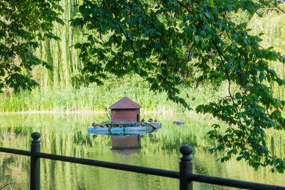 Lokalna rekreacja tuż obok stacji kolejowej, © Frank Burger Lokalna rekreacja tuż obok stacji kolejowej, © Frank Burger