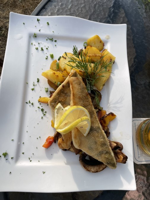 IMG_4401, © Südliche Boddenküste IMG_4401, © Südliche Boddenküste