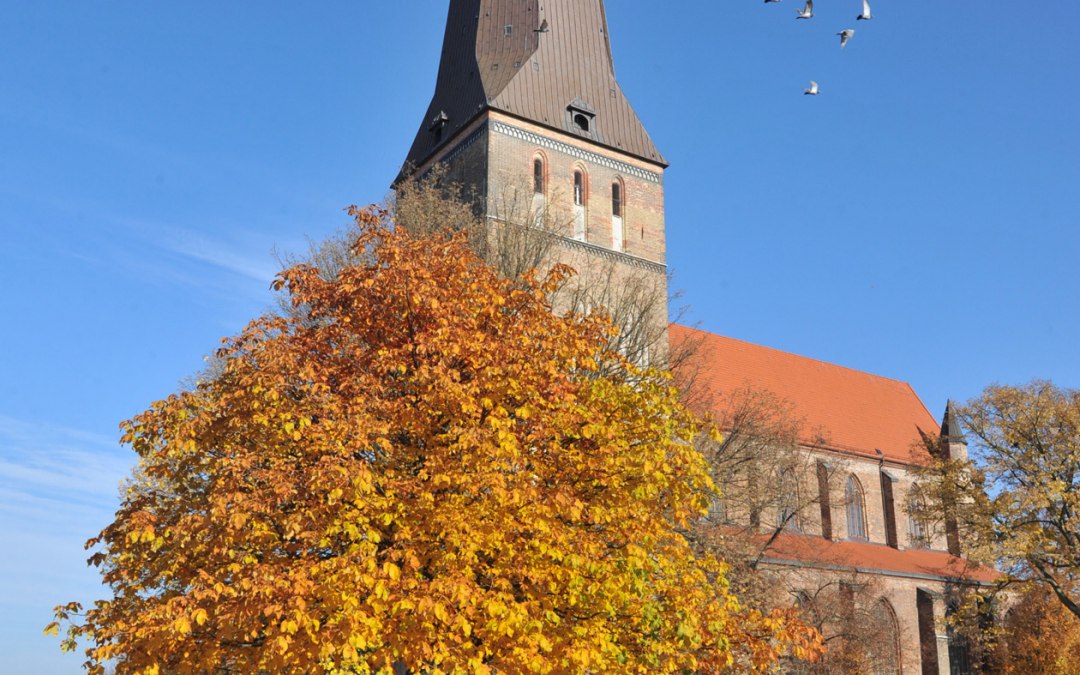 16_Ro_23_kirche-st. petri_04_1260x1920_(c) TZRW Joachim Kloock, © TZRW/Joachim Kloock