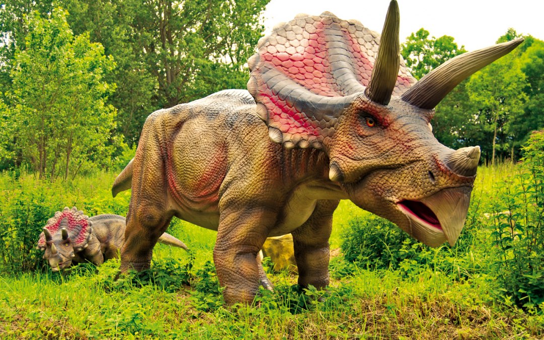 Triceratops, © Marcel Kunkel